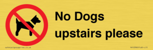 No Dogs upstairs please 